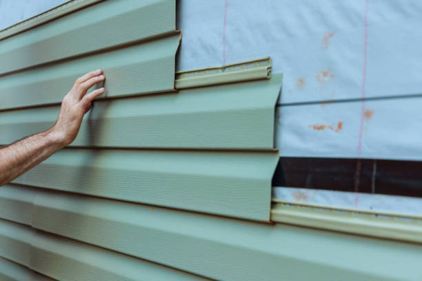 Best Vinyl Siding Installation  in Jemez Pueblo, NM